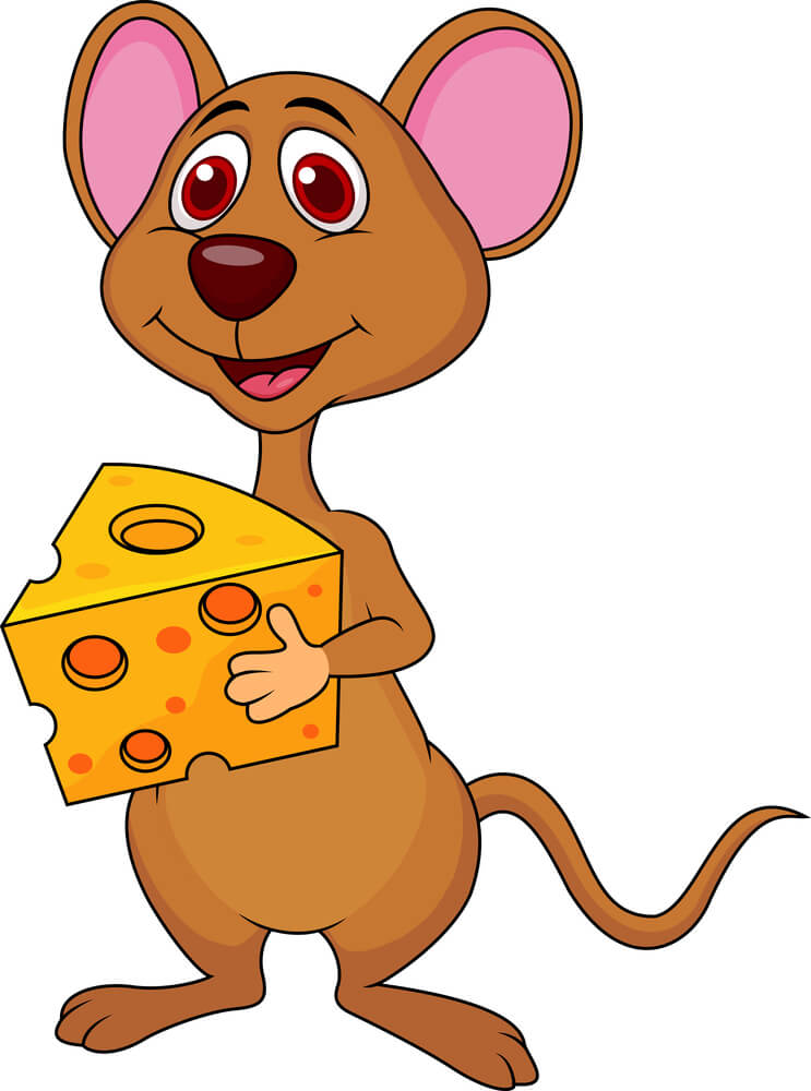 A happy mouse is left alone. Illustration: shutterstock
