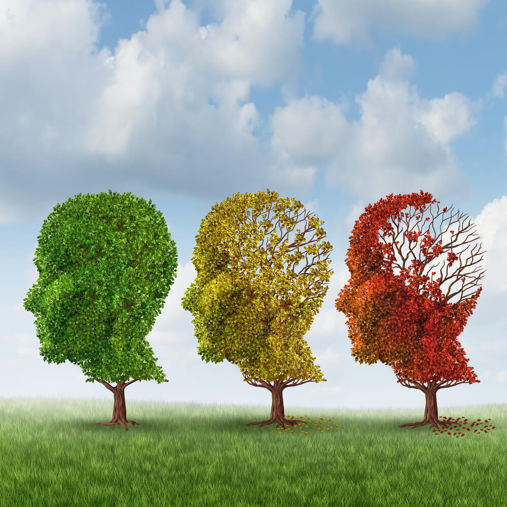 Aging and memory loss. Illustration: shutterstock