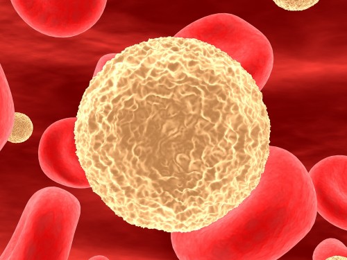 الخلية التائية في مجرى الدم. الرسم التوضيحي: شترستوك