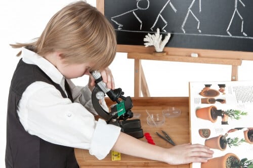 Teaching evolution in schools. Photo: shutterstock