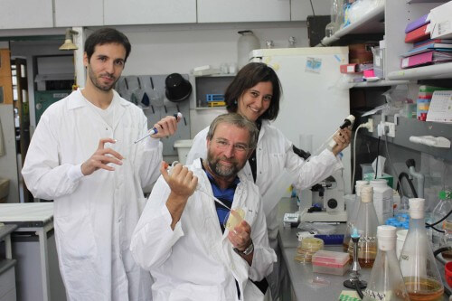 In the photo: standing from right to left: Dr. Gal Hagit Romano, Yaniv Harari, PhD student, sitting: Prof. Martin Kopeik Photo: Courtesy of Tel Aviv University