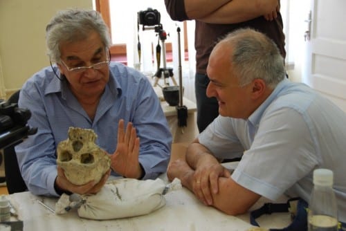 פרופ' יואל רק מאוניברסיטת ת"א מחזיק גולגלת שלמה של פרט הומו גיאורגוס - שהתפצל מהומו ארקטוס ואשר התגלה בגיאורגיה ב-2013. צילום: אוניברסיטת ת"א