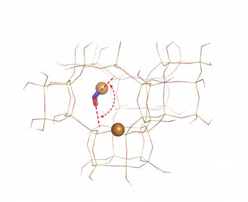 מודל ממוחשב זה של הזאוליט החדש מראה כיצד תחמוצת חנקן (דגם כדור-מקל) מגיבה עם יון נחושת טעון חיובית (כדור נחושת) בזווית בלתי-צפויה (קו שבור אדום). [באדיבות Kwak et al.]   