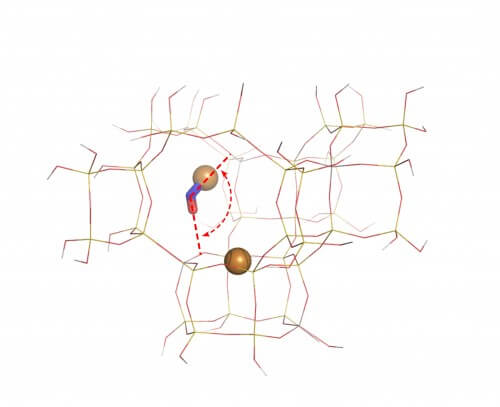 This computer model of the new zeolite shows how nitric oxide (ball-stick model) reacts with a positively charged copper ion (copper ball) at an unexpected angle (red broken line). [Courtesy of Kwak et al.]