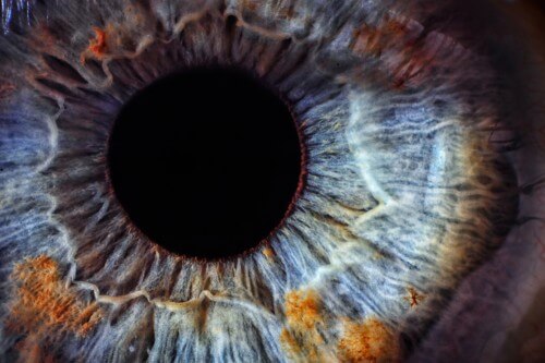 العدسة في عين الإنسان. الرسم التوضيحي: شترستوك