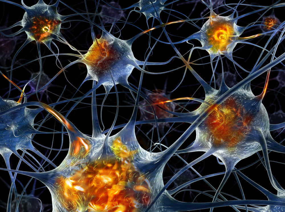 Neurons in XNUMXD. Illustration: shutterstock