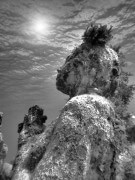 תפילה חרישית - אחד מהפסלים התת ימיים שהותקנו בשונית האלמוגים בקנקון. צילום: shutterstock