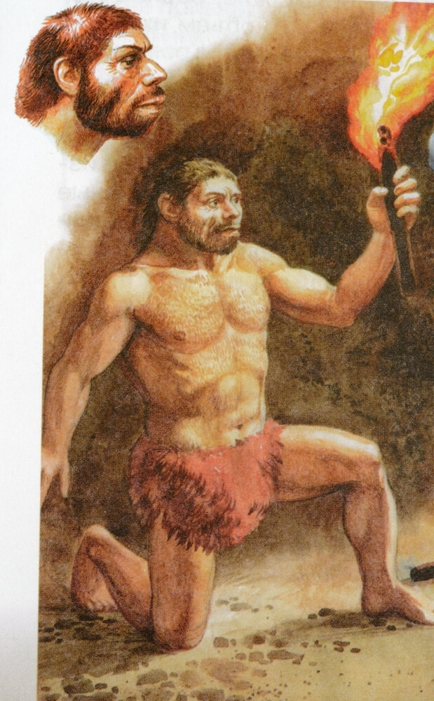 Neanderthal man. From a 2009 Russian textbook on human evolution. Neveshkin Nikolay / Shutterstock.com Photo: shutterstock