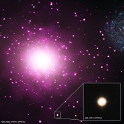 NGC 4649 - גלקסיה קומפקטית ודחוסה. צילום: אוניברסיטת מדינת מישיגן באן הרבור