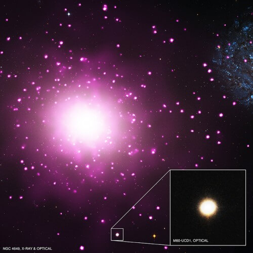 مجرة قزمة مدمجة تصاحب NGC 4649. الصورة: جامعة ولاية ميشيغان في آن هاربور