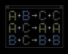 דוגמה לתכנות כימי - האותיות A, B ו-C מייצגות חומרים כימיים שונים. [באדיבותYan Liang, L2XY2.com]