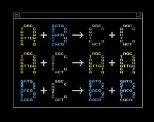 דוגמה לתכנות כימי - האותיות A, B ו-C מייצגות חומרים כימיים שונים. [באדיבותYan Liang, L2XY2.com]