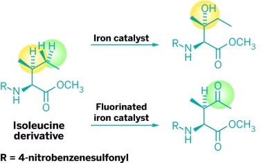 Iron catalysts capable of selectively oxidizing different carbon-hydrogen bonds (yellow and green respectively for iron-PDP and iron CF3-PDP catalysts) in the same molecule. The new method will be able to speed up the rate of discovery of new drugs and substances for human benefit. [Courtesy of M. Christina White of the University of Illinois].