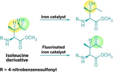 محفزات حديدية قادرة على أكسدة روابط الكربون والهيدروجين المختلفة بشكل انتقائي (الأصفر والأخضر على التوالي لمحفزات الحديد-PDP والحديد CF3-PDP) في نفس الجزيء. وستكون الطريقة الجديدة قادرة على تسريع معدل اكتشاف أدوية ومواد جديدة لصالح الإنسان. [بإذن من م. كريستينا وايت من جامعة إلينوي].