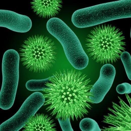Bacteria evade antibiotics. Illustration: The Hebrew University