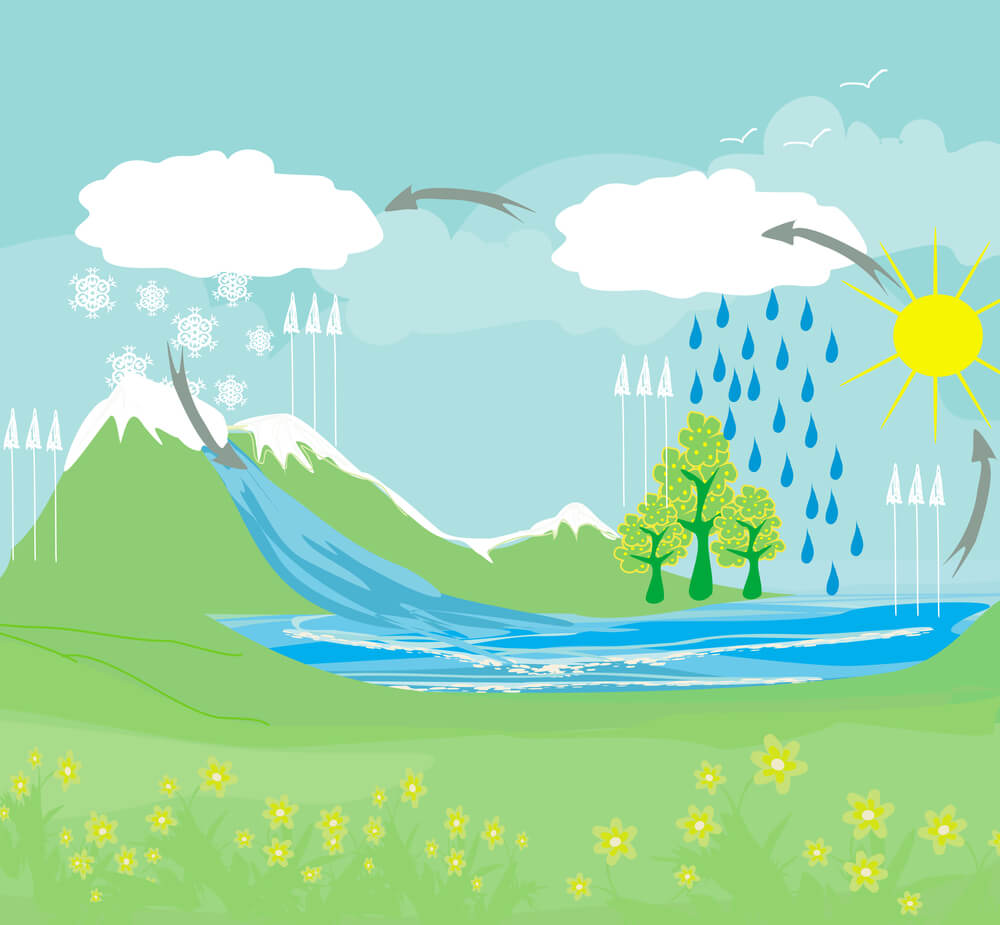 The water cycle. Illustration: shutterstock