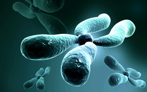 Chromosomes as they used to be drawn. Illustration: shutterstock