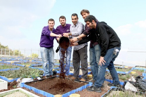 חוקרים של אוניברסיטת חיפה מדשנים ערוגה בפסולת קפה. צילום: אוניברסיטת חיפה