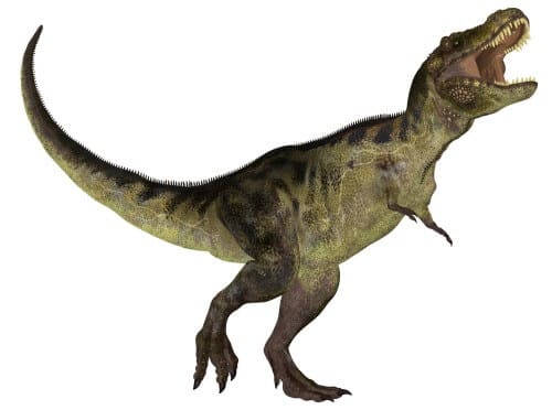 Tyrannosaurus. Illustration: shutterstock