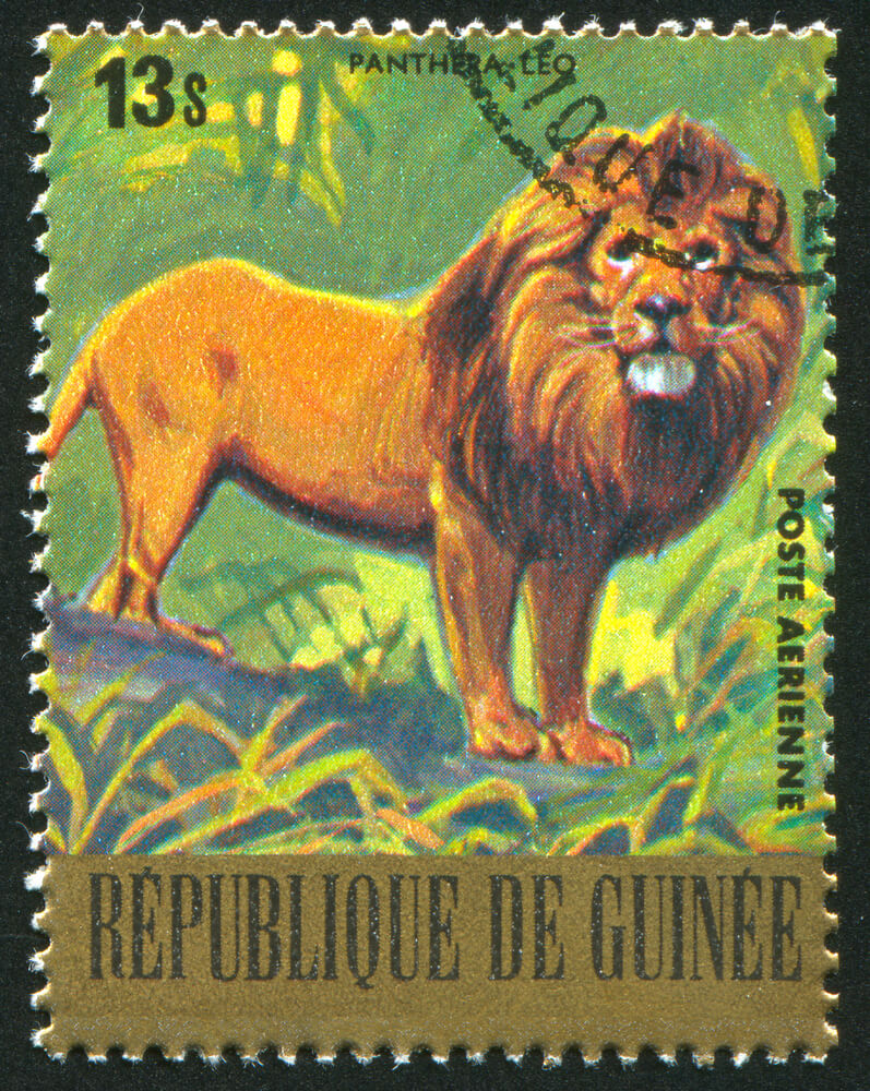 אריה מונצח על בול ממדינת גינאה שבמערב אפריקה מ-1977. צילום: rook76 / Shutterstock.com
