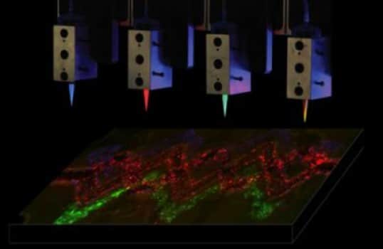 A new method for XNUMXD printing was developed by Jennifer Lewis and her team at Harvard, using multiple print heads and an adapted 'ink' to create complex living structures, along with the tiny blood vessels. Click here to see how it works. Photo: Wise Institute at Harvard University and SEAS