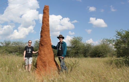 Harvard PhD student Christine Petersen and faculty member Justin Werfel near a large termite nest in Namibia. Photo: Harvard University