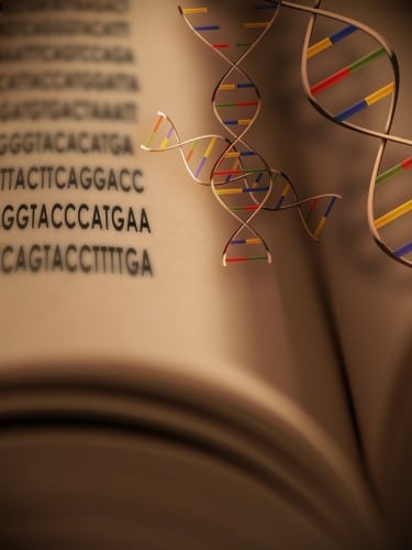 genetic research. Illustration: shutterstock