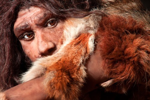 Much of the Neanderthal genome is preserved in modern human populations. Neanderthal man. Illustration: shutterstock