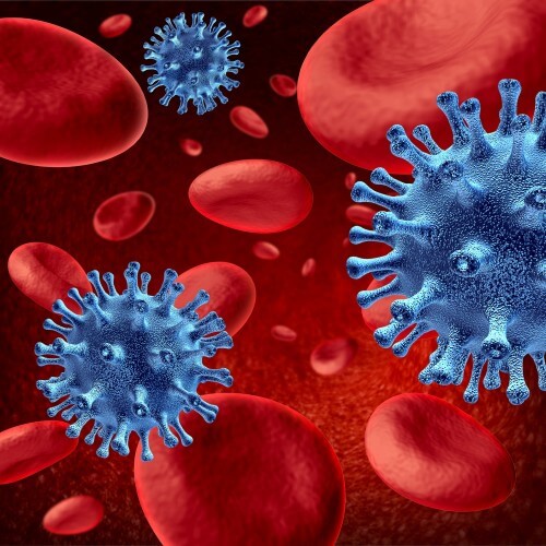 A virus moves in the bloodstream. Illustration: shutterstock