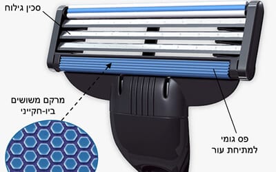 A razor inspired by the salamander. Figure 1. Courtesy of the Technion