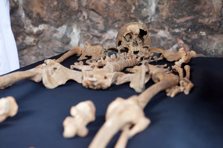 A skeleton of one of the victims of the Black Death in London. Photo: website of the company digging the railway tunnel, Crossrail