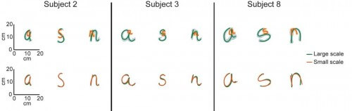 أعلاه: تتبع حركة كتابة الأحرف الكبيرة (باللون الأزرق) والأحرف الصغيرة (باللون البرتقالي) لثلاثة مواضيع. أدناه: حساب متوسط ​​الحركة للحجمين يظهر تشبيهًا عند كل مقياس للحركة