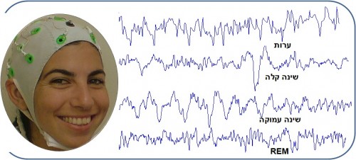 תמונה מס' 1 : גלי EEG בעת השינה EEG משמש למדידת פעילות חשמלית במוח הנמדדת מאלקטרודות הנמצאות על ראש הנבדק/ת (כפי שניתן לראות מצד שמאל). בעזרת EEG ניתן למדוד את דפוסי השינה הידועים משלבי השינה השונים (צד ימין). שימו לב כיצד פעילות המוח הופכת איטית יותר בשינה עמוקה וחוזרת לגלים מהירים בזמן שנת REM (צילום: אתי בן סימון)