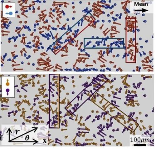 Analysis of the movement of water droplets in the system. The length of the line coming out of each droplet represents its speed relative to the average speed. In the top image: red marking represents fast drops, blue marking represents slow drops. In the bottom image: yellow marking represents upward movement, and purple marking represents downward movement. The frames highlight areas of uniform or mixed movement, indicating a positive or negative correlation, respectively