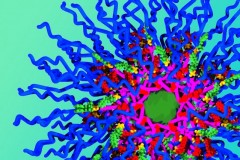 ננו-החלקיקים החדשים מורכבים משרשראות פולימרים (בכחול) ושלוש מולקולות תרופה שונות - דוקסורוביצין באדום, החלקיקים הירוקים הקטנים מסמלים את התרופה קמפטותצין והליבה הירוקה הגדולה יותר את התרופה ציס-פלטינה. [באדיבות Jeremiah Johnson]