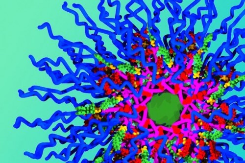  ננו-החלקיקים החדשים מורכבים משרשראות פולימרים (בכחול) ושלוש מולקולות תרופה שונות - דוקסורוביצין באדום, החלקיקים הירוקים הקטנים מסמלים את התרופה קמפטותצין והליבה הירוקה הגדולה יותר את התרופה ציס-פלטינה. [באדיבות Jeremiah Johnson]