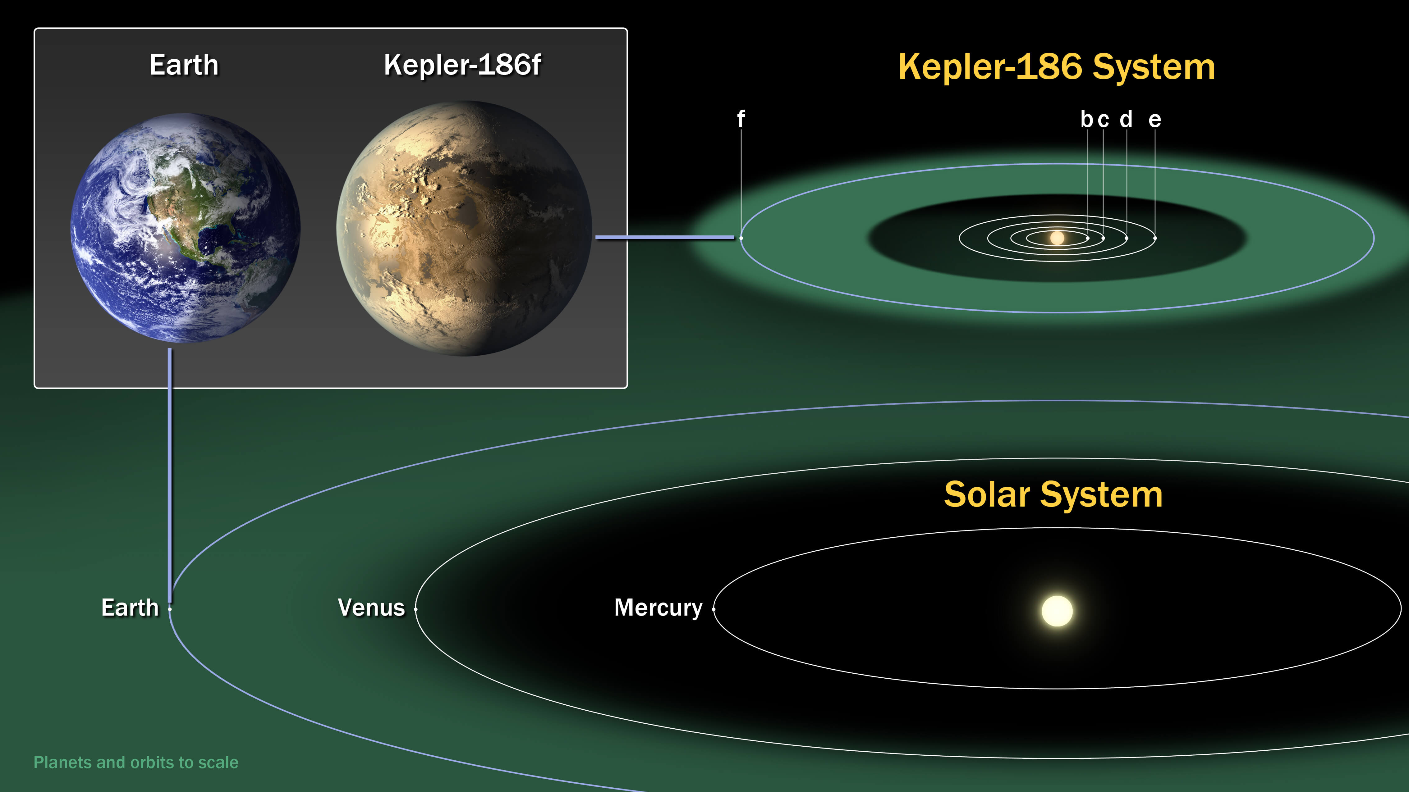 התרשים משווה את כוכבי הלכת במערכת השמש שלנו עם מערכת השמש קפלר 186, מערכת בת חמישה כוכבי לכת במרחק של 500 שנות אור מכדור הארץ בכיוון קבוצת ברבור. חמשת כוכבי הלכת מקיפים את קפלר 186 - ננס מסוג M, כוכב שגודלו ומסתו כמחצית מאלו של השמש. איור: מרכז איימס של נאס"א, מכון סט"י, JPL-קאלטק