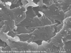 : תמונת החומר הפולימרי החדש המחוזק בעזרת ננו-שפורפרות פחמן, מבט באמצעות מיקרוסקופ אלקטרוני סורק (SEM) . איור: יבמ