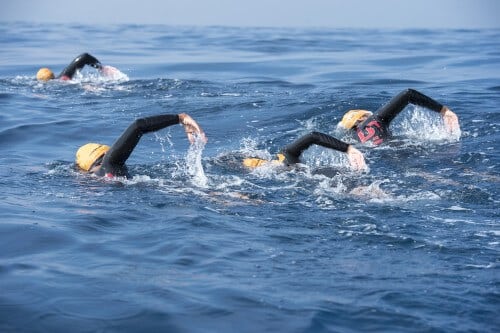 Amateur swimmers in the sea. Photo: shutterstock