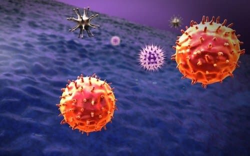 Cancer cells drift in the bloodstream. Illustration: shutterstock