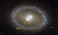 צילום של הגלקסיה NGC 3081 בטלסקופ החלל האבל. צילום: סוכנות החלל האירופית ונאס"א, ר. בוטה - אוניברסיטת אלבמה.