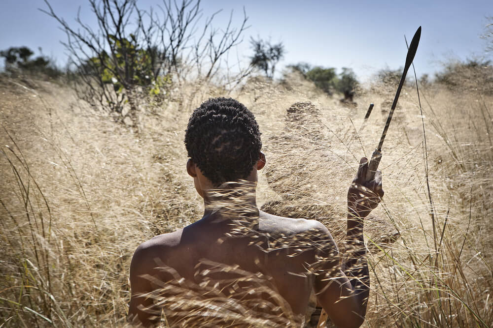 A member of the San tribe goes hunting. Photo: shutterstock