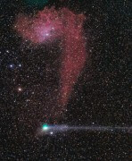השביט ז'אק והערפילית IC 405 בקבוצת עגלון, הידועה גם בשם ערפילית הכוכב הבוער התיישרו ויצרו סימן שאלה זמני בשמים בבוקר 26 ביולי. צילום: רולאנדו ליגוסטרי