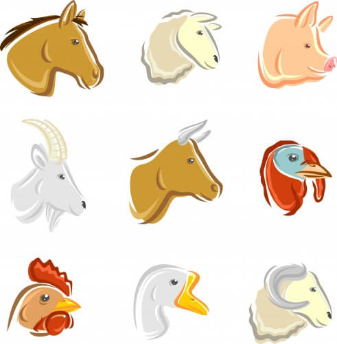 farm animals. Illustration: shutterstock