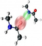 יחסי הגומלין של קשרי-המימן גורמים לאטומים שבכל אחת מהמולקולות של הדימר לרטוט בקצב משותף. [באדיבות L. De Marco/UChicago]