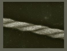סליל כפול הבנוי מננו-קוביות של מגנטיט. צולם באמצעות מיקרוסקופ אלקטרונים סורק