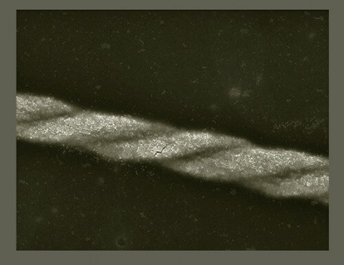 A double coil made of nanocubes of magnetite. Photographed using a scanning electron microscope