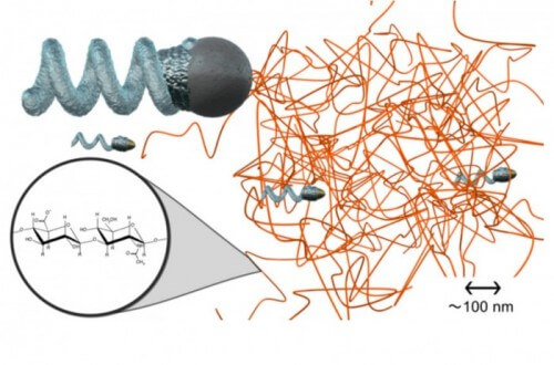 Illustration of micro- and nano-propellers moving through and within a hyaluronan coagulated network.
