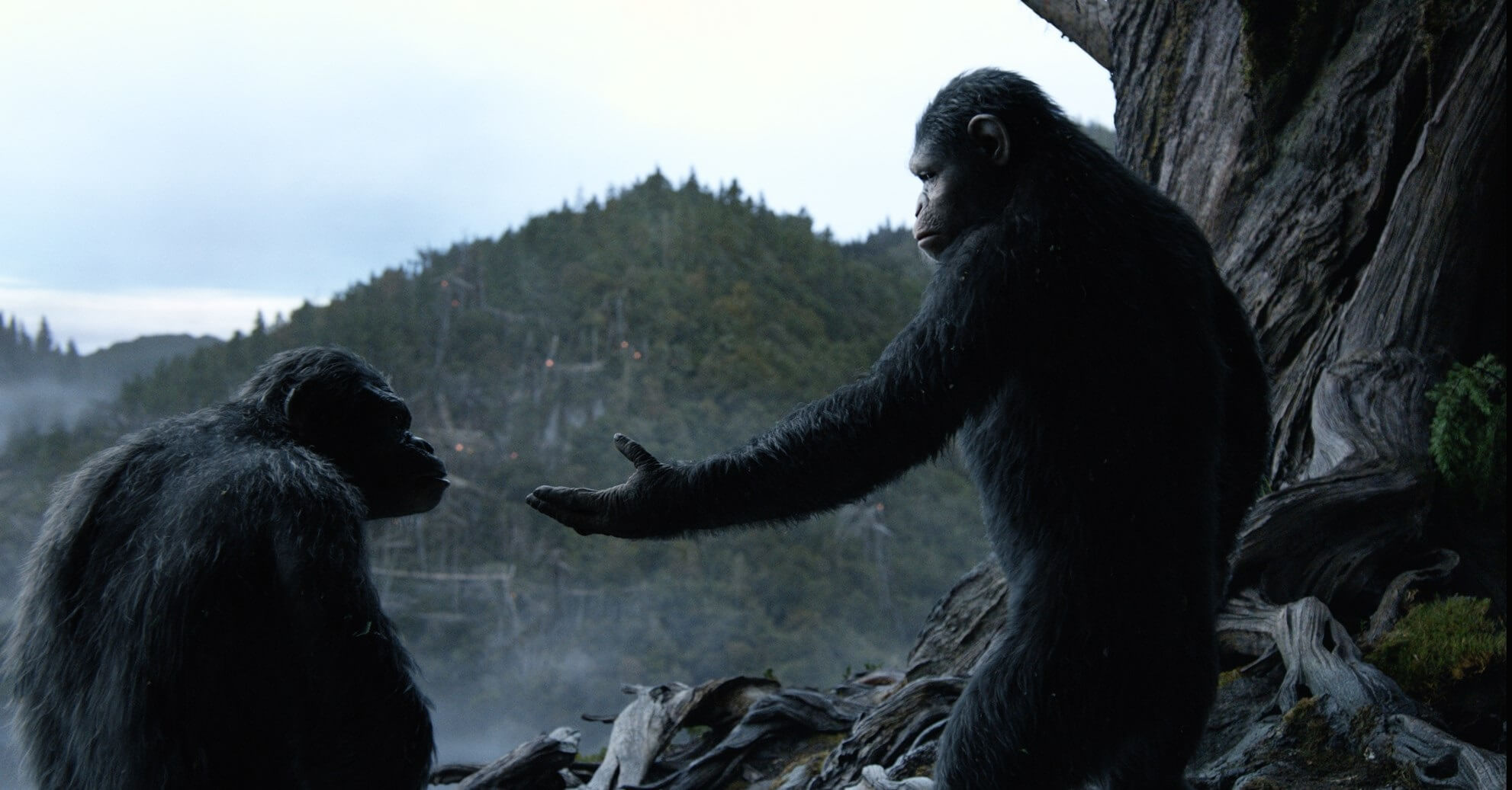 From the movie "The Planet of the Apes - Dawn". PR photo