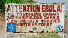 שלט אזהרה מפני כניסה לאיזור נגוע אבולה, בהתפרצות של 2013 בקונגו. צילום: shutterstock